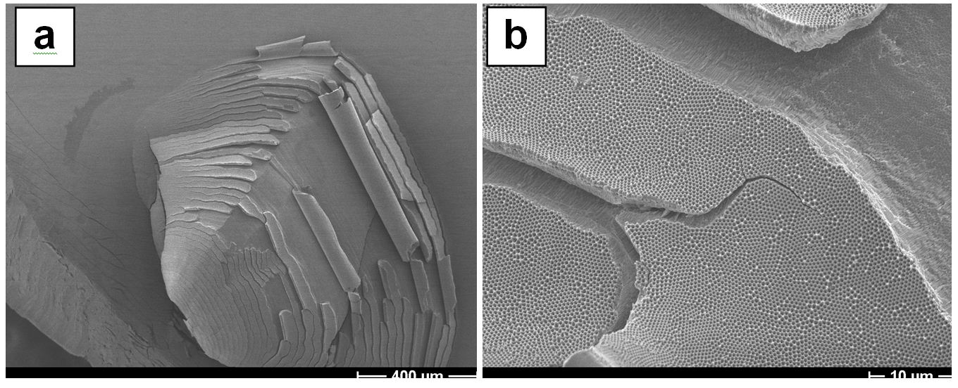 SEM image of porous oxide after electrical breakdown caused by local heating. 