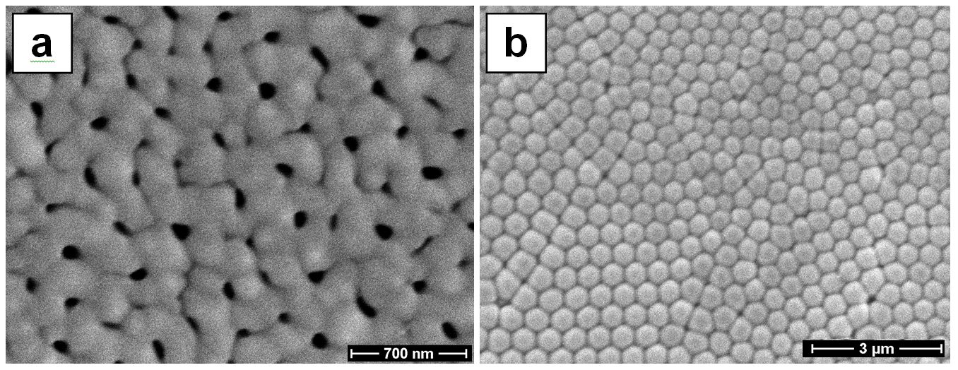 Scanning Electron Microscopy (SEM) images of a porous alumina sample produced by a first anodization 