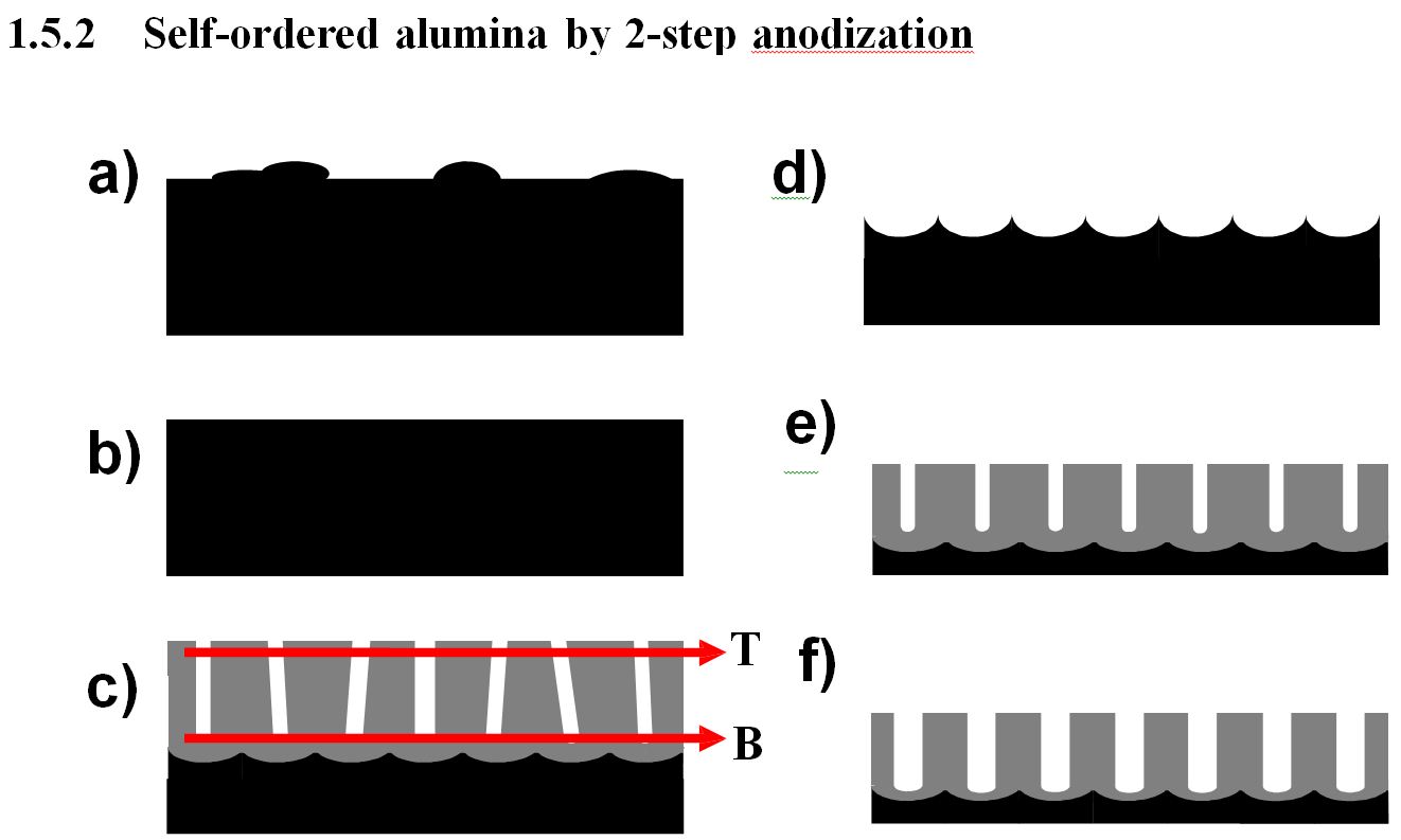 Stages of the formation of self-ordered alumina